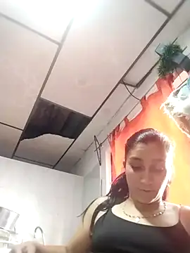 vegonicarouge webcam
