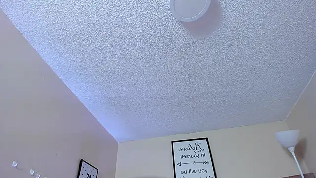 Nini_velle webcam