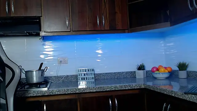 LexSin17 webcam