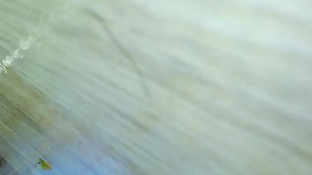 karol_kane webcam