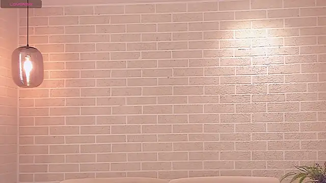 LaurentRosse1 webcam