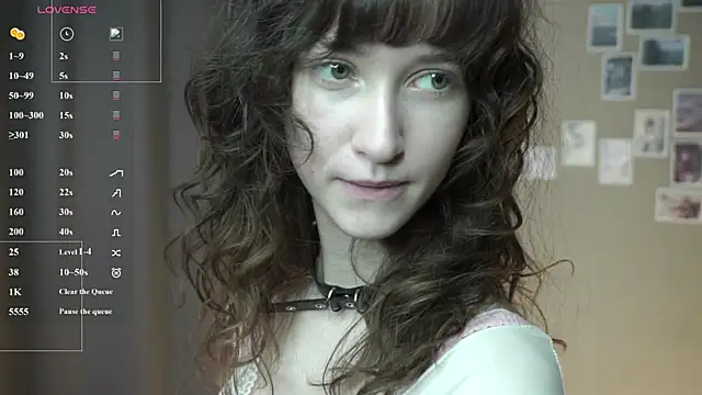 DellaLeck webcam