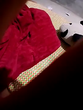 Sgs594802799 webcam