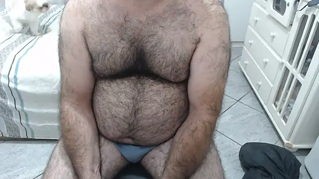 MysterBearMG webcam
