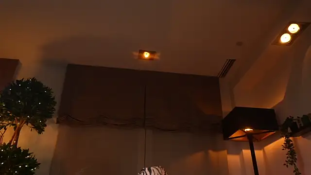 SofiaWaves webcam
