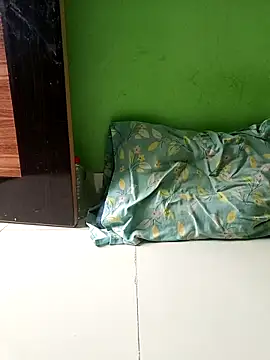 Monaleca-2 webcam