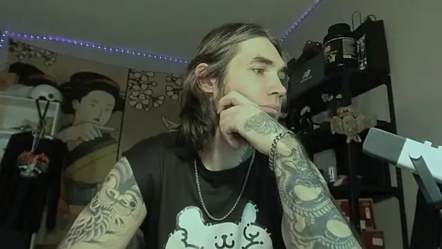 otiebis webcam