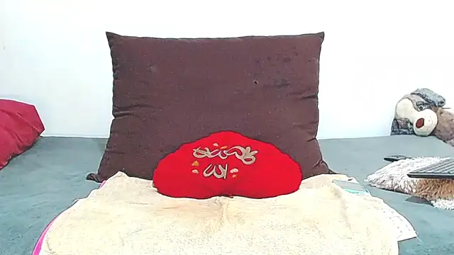 AnySugar webcam