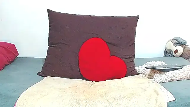 AnySugar webcam