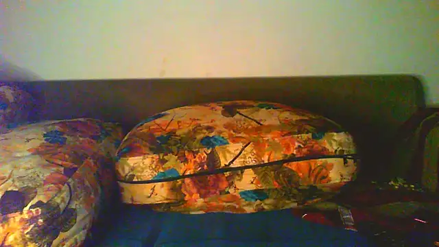 Vbestshow webcam