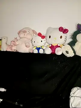 _juli17_ webcam