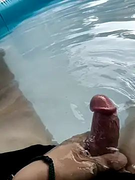 tripexnte webcam