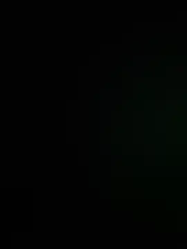 Integrityofsin webcam