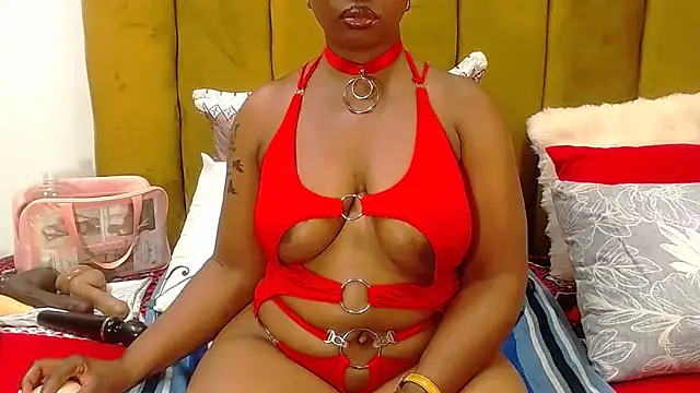 RoundaAssx22 webcam