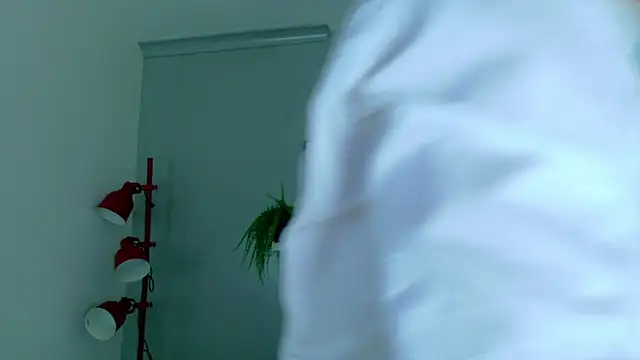 MrFox__ webcam