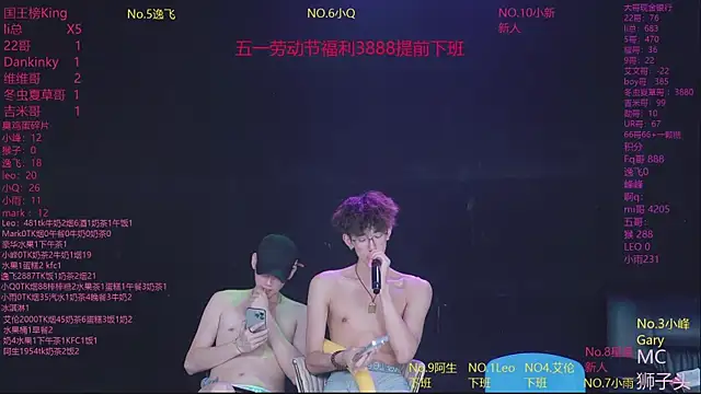 AAA-winner webcam