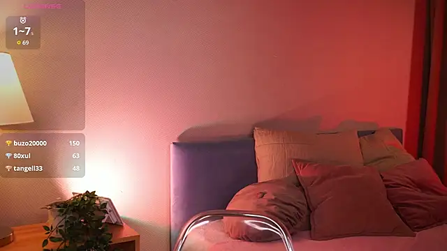 lexy_exe webcam