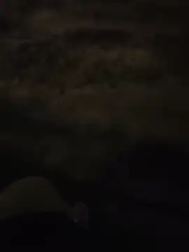 PublicMarekFlashDick webcam