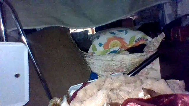 shag369 webcam