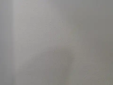 Daniellesafada webcam