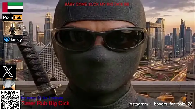 bfs26 webcam