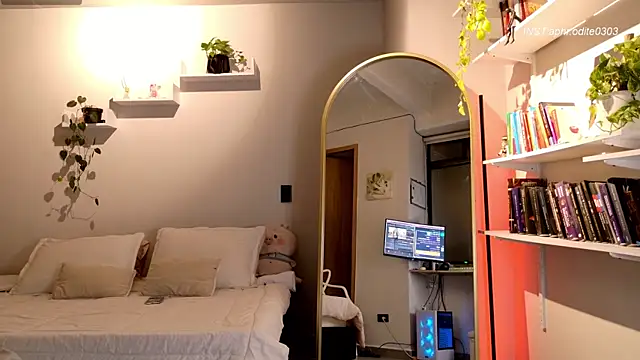 Nikol-JE webcam