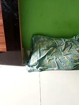 Monaleca-2 webcam