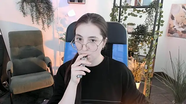 VirtuallVoyant webcam