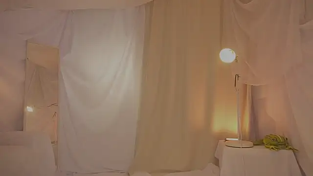 arizonasunrise webcam