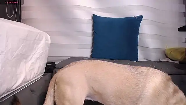 dirty_27cms webcam