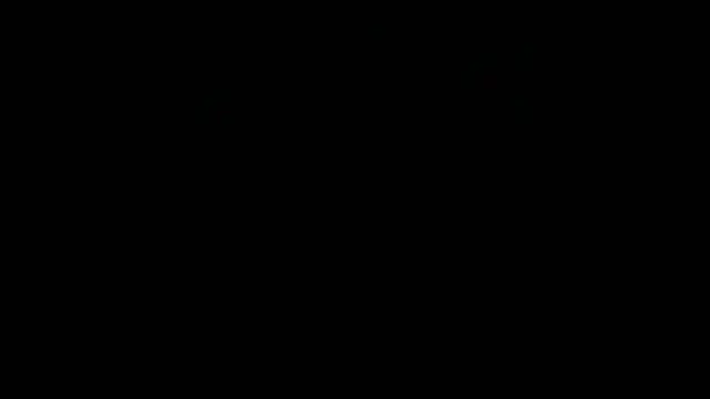 Nash_fit18 webcam