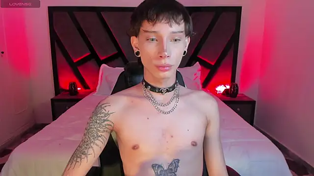 AndyWiilliams webcam