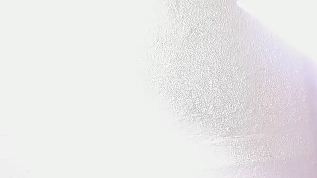 Emily_bruss webcam