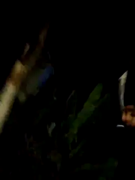 Andres_sant_ webcam