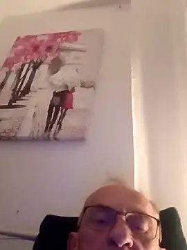 Dzoj webcam