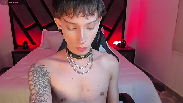 AndyWiilliams webcam
