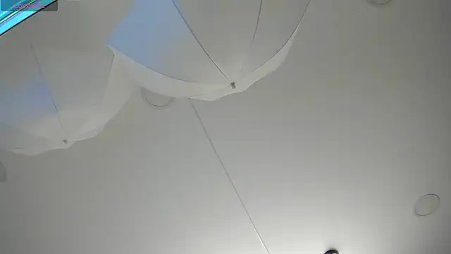 Taylor_Royal_ webcam