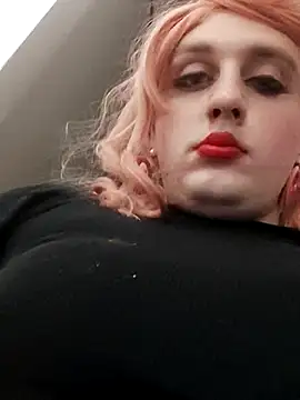Nikolaxdress webcam