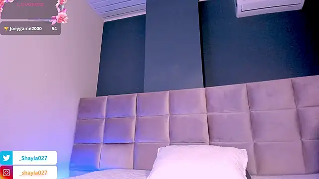 Preview of shayla27