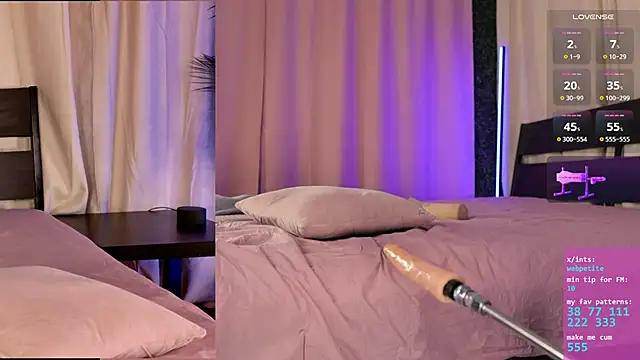 webpetite webcam
