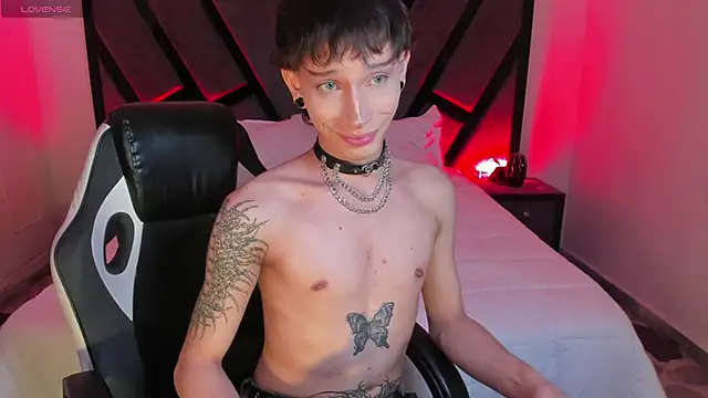 AndyWiilliams webcam