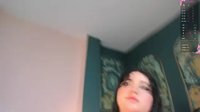 SofiaRousel webcam