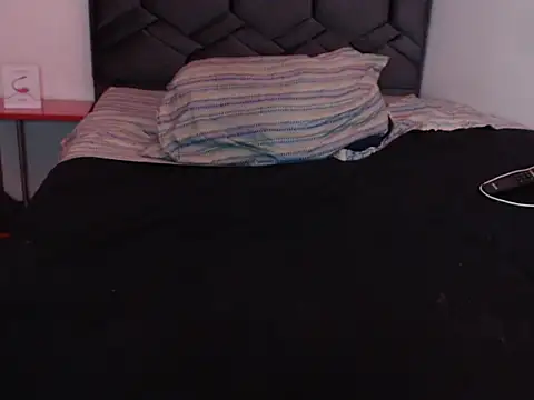 danypalmer webcam