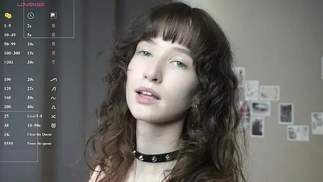 DellaLeck webcam