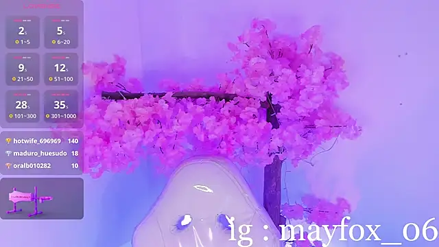 May_Fox_ webcam