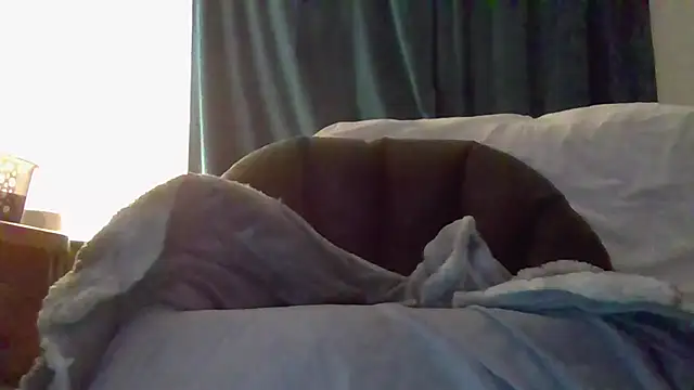 Preview of jerkitcentral