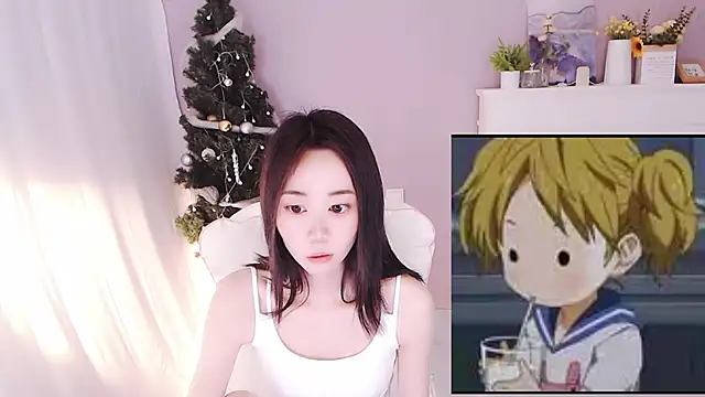 hall-33 webcam