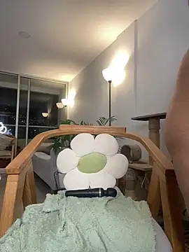 6nalanie webcam