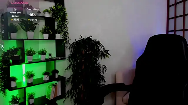 Ida_FaneStain webcam