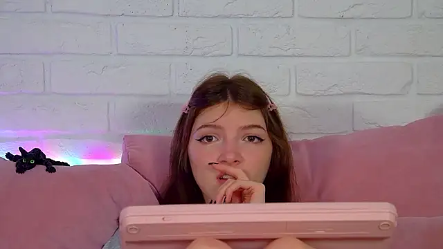 SophiaProve webcam